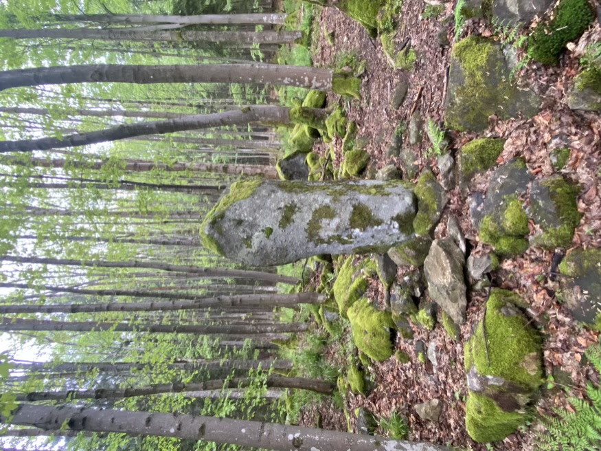 Detail