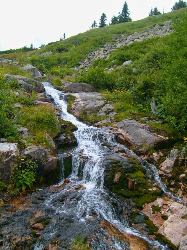 Celkovy
