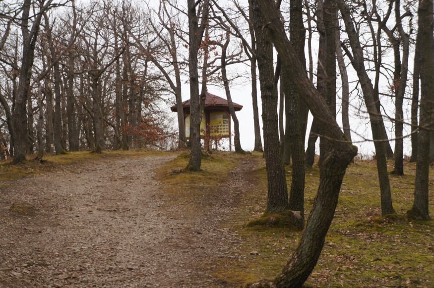 Detail